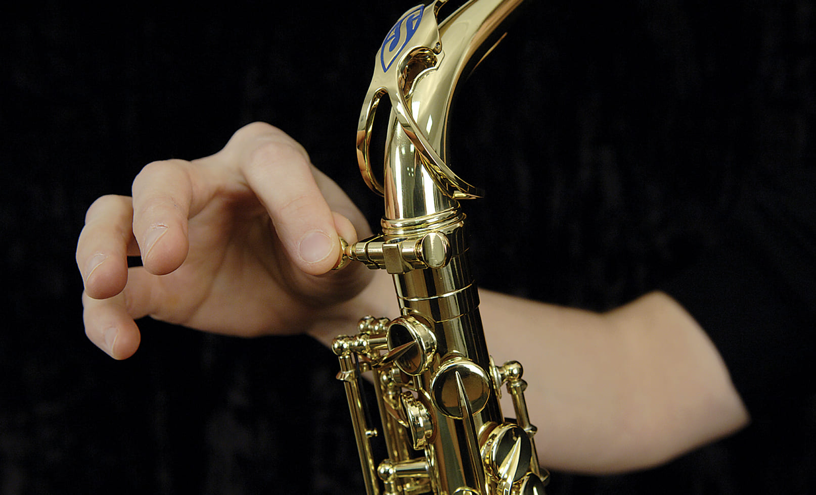 Ericealice Mini Saxophone Alto Saxophone Poche avec Instrument de Musique 5  Roseaux 