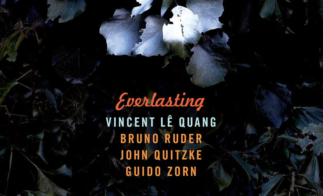 Everlasting, le nouvel album de Vincent Lê Quang