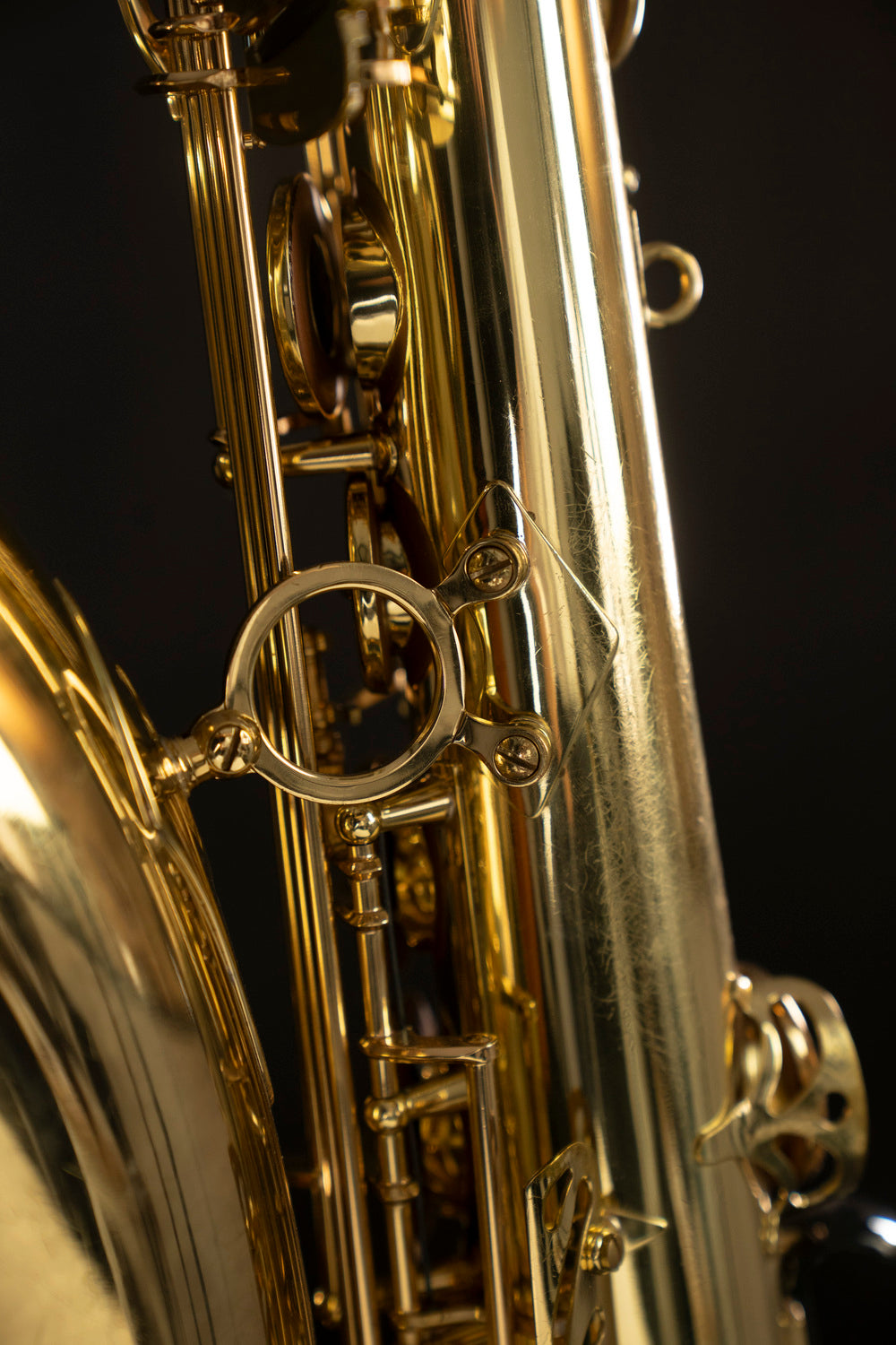 Saxophone Ténor SELMER Super Action 80 Série II (1993), n°490635 - ReWIND