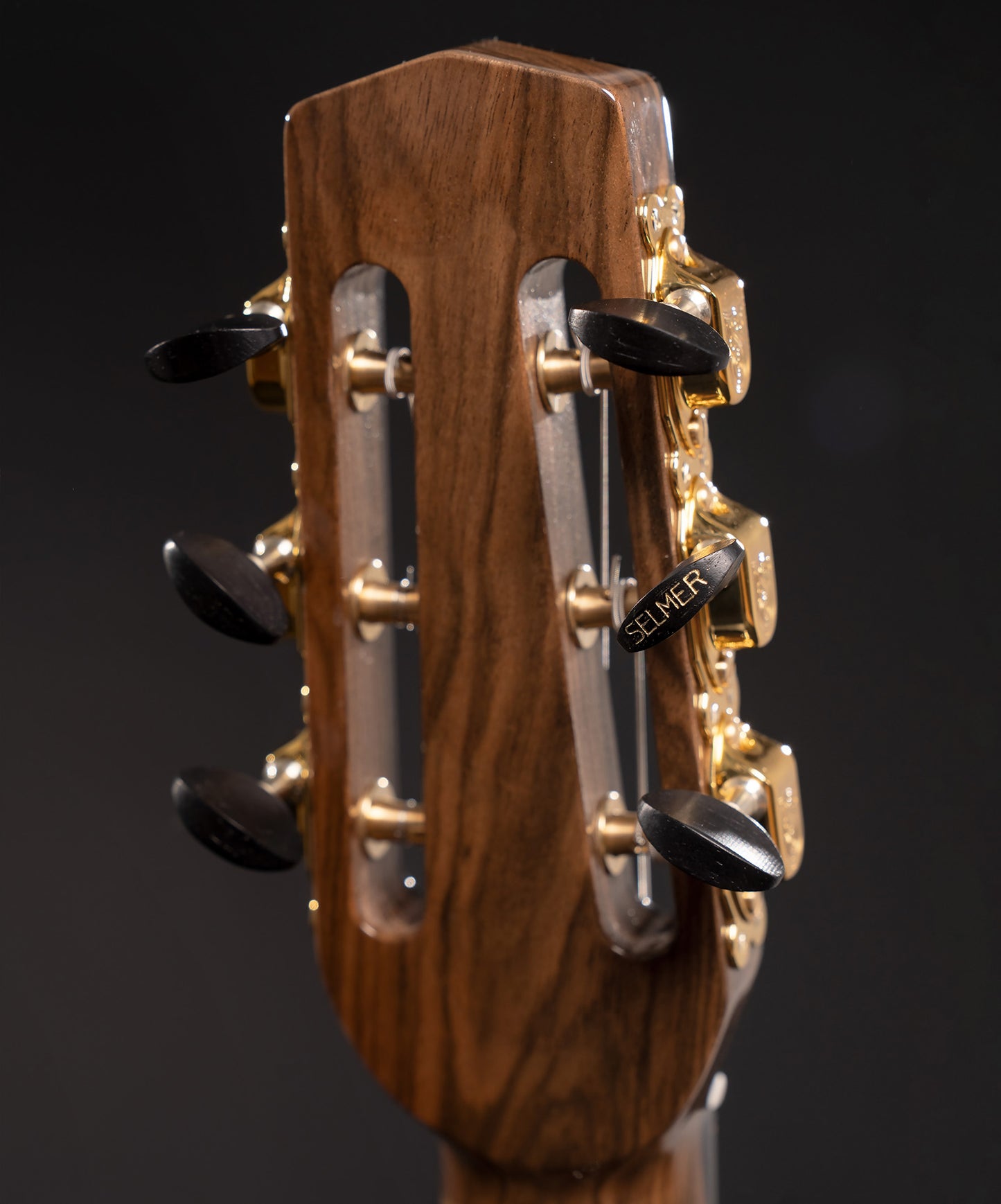 Jazz Guitar Limited Edition