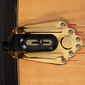 Tailpiece