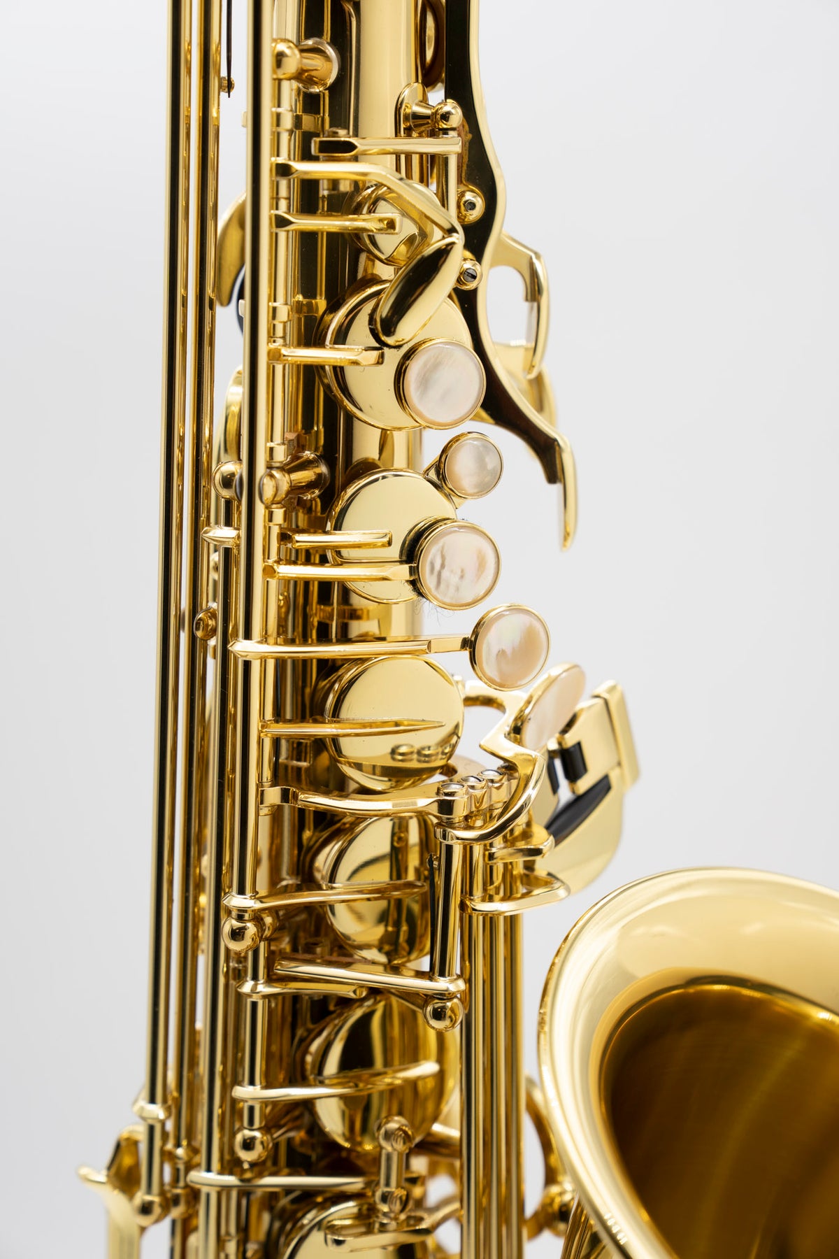 Axos Alto n°834322 from 2023 - ReWIND