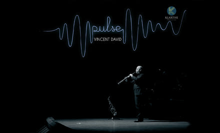 Pulse, le nouvel album de Vincent David