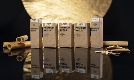 Nouvelles anches pour saxophones et clarinettes