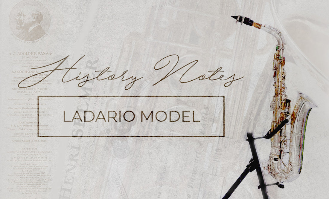 History Notes : Ladario Model