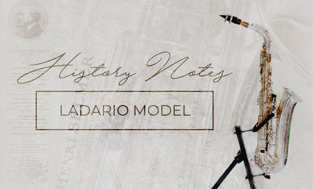 History Notes : Ladario Model