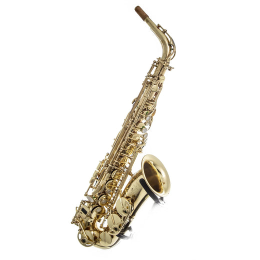 Selmer Paris SA80 Series II Alto Saxophone - Just Flutes