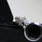 Clarinette Mib Récital P05994