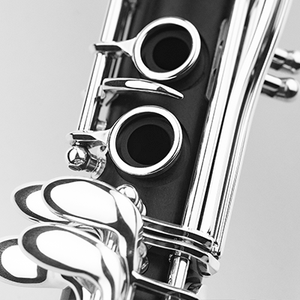 Removable tone hole insert