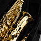 Axos Alto n°823684 from 2021 - ReWIND