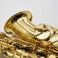 Axos Alto n°823684 from 2021 - ReWIND
