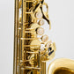 Axos Alto n°834322 from 2023 - ReWIND
