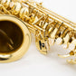 Axos Alto n°834322 from 2023 - ReWIND
