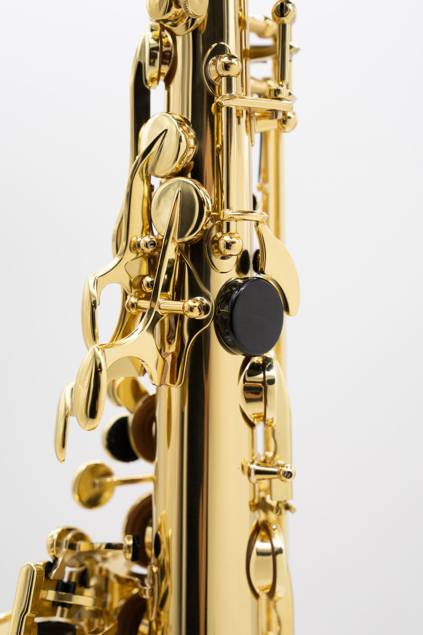 Alto Axos n°841449 de 2024 - ReWIND