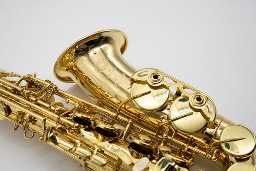 Axos Alto n°846902 from 2024 - ReWIND