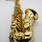 Axos Alto n°846902 from 2024 - ReWIND