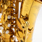 Reference 54 Alto n°721737 from 2008 - ReWIND