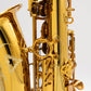 Reference 54 Alto n°721737 from 2008 - ReWIND