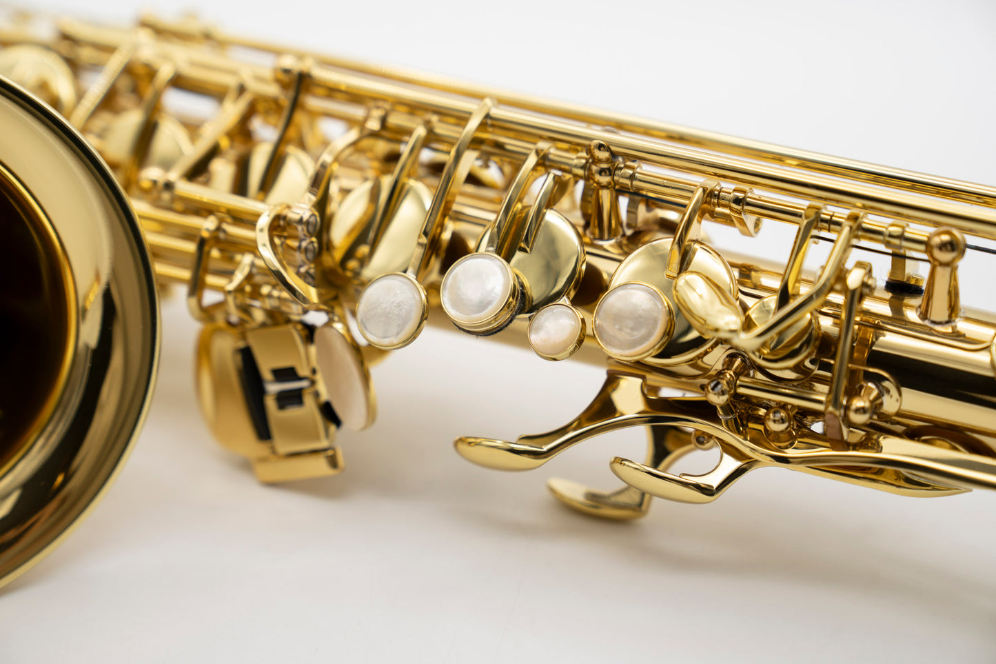 Alto Super Action 80 Serie II n°847512 from 2023 - ReWIND