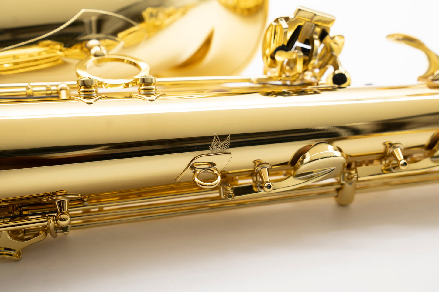 Ténor Axos n°839002 de 2023 - ReWIND