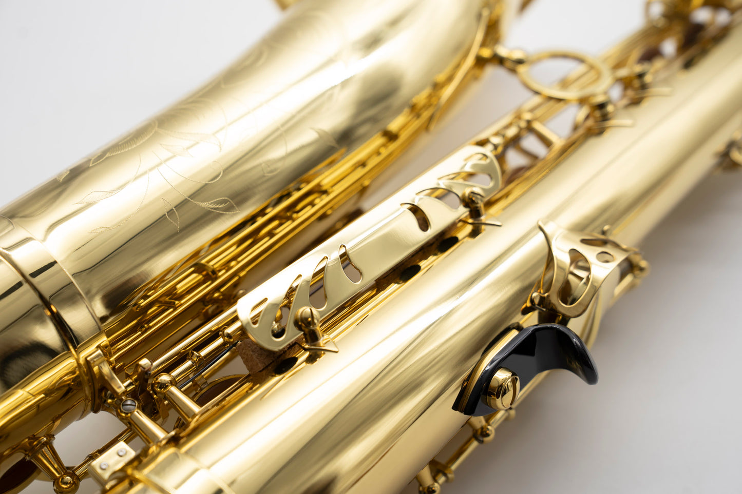 Ténor Axos n°839002 de 2023 - ReWIND