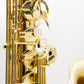 Axos Tenor n°846103 from 2023 - ReWIND