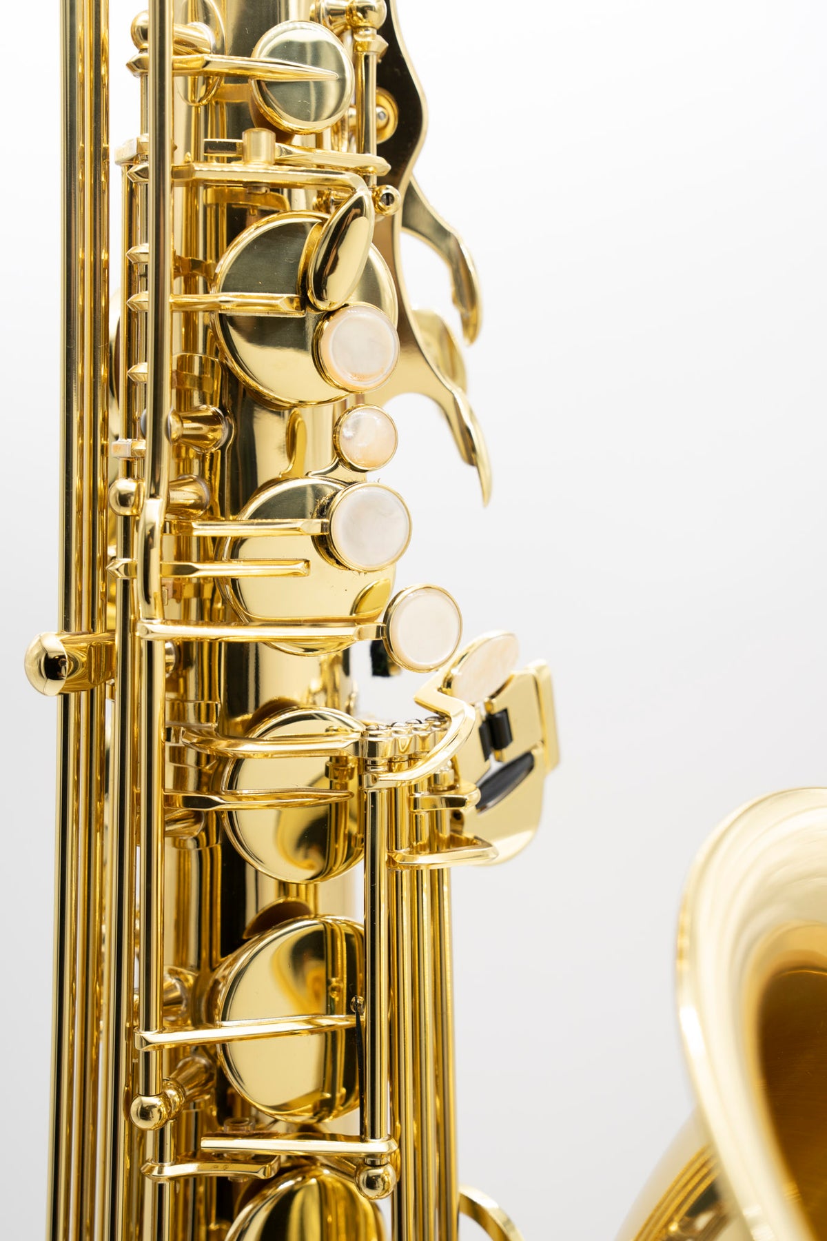 Axos Tenor n°846103 from 2023 - ReWIND