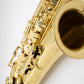 Axos Tenor n°817643 - ReWIND