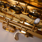 Reference 54 Tenor Dragon Bird n°749130 - ReWIND 