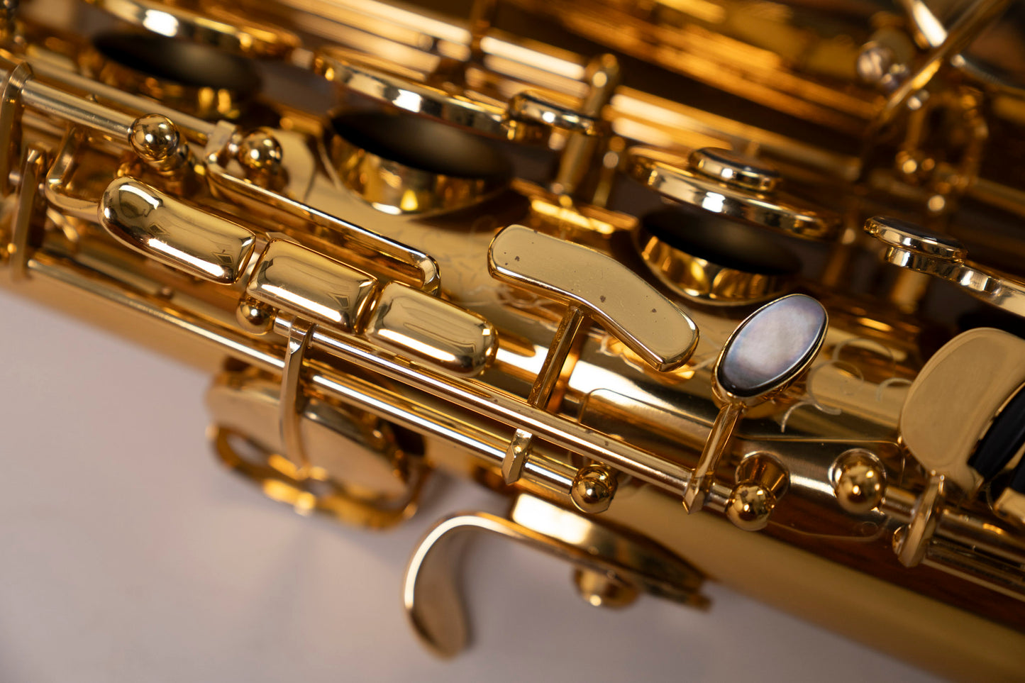 Reference 54 Tenor Dragon Bird n°749130 - ReWIND 