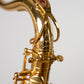 Reference 54 Tenor Dragon Bird n°749130 - ReWIND 