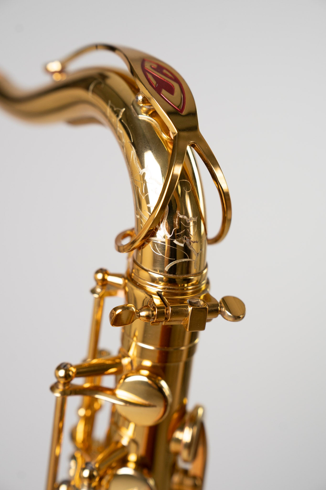 Reference 54 Tenor Dragon Bird n°749130 - ReWIND 