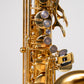 Reference 54 Tenor Dragon Bird n°749130 - ReWIND 