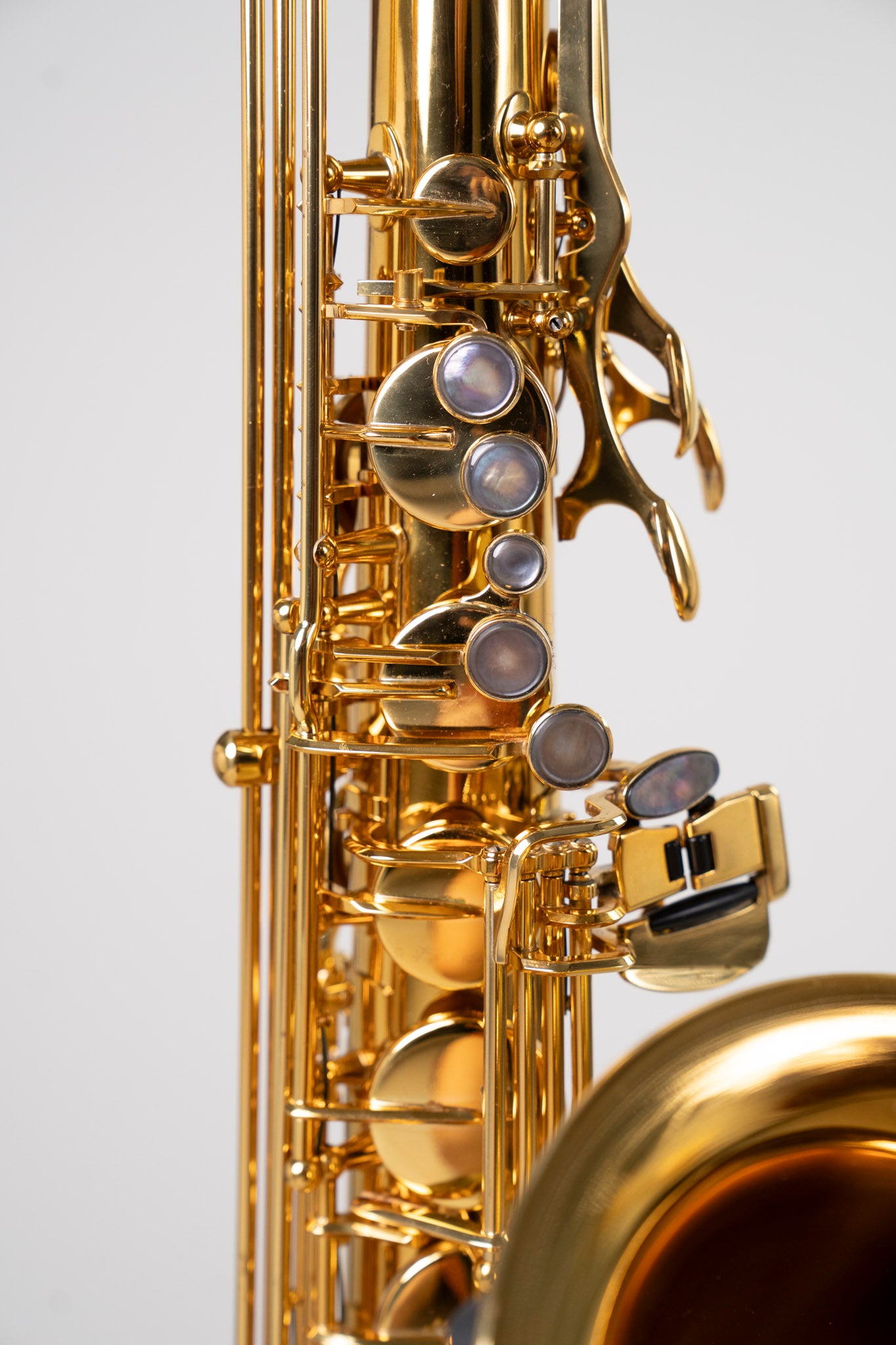 Reference 54 Tenor Dragon Bird n°749130 - ReWIND 