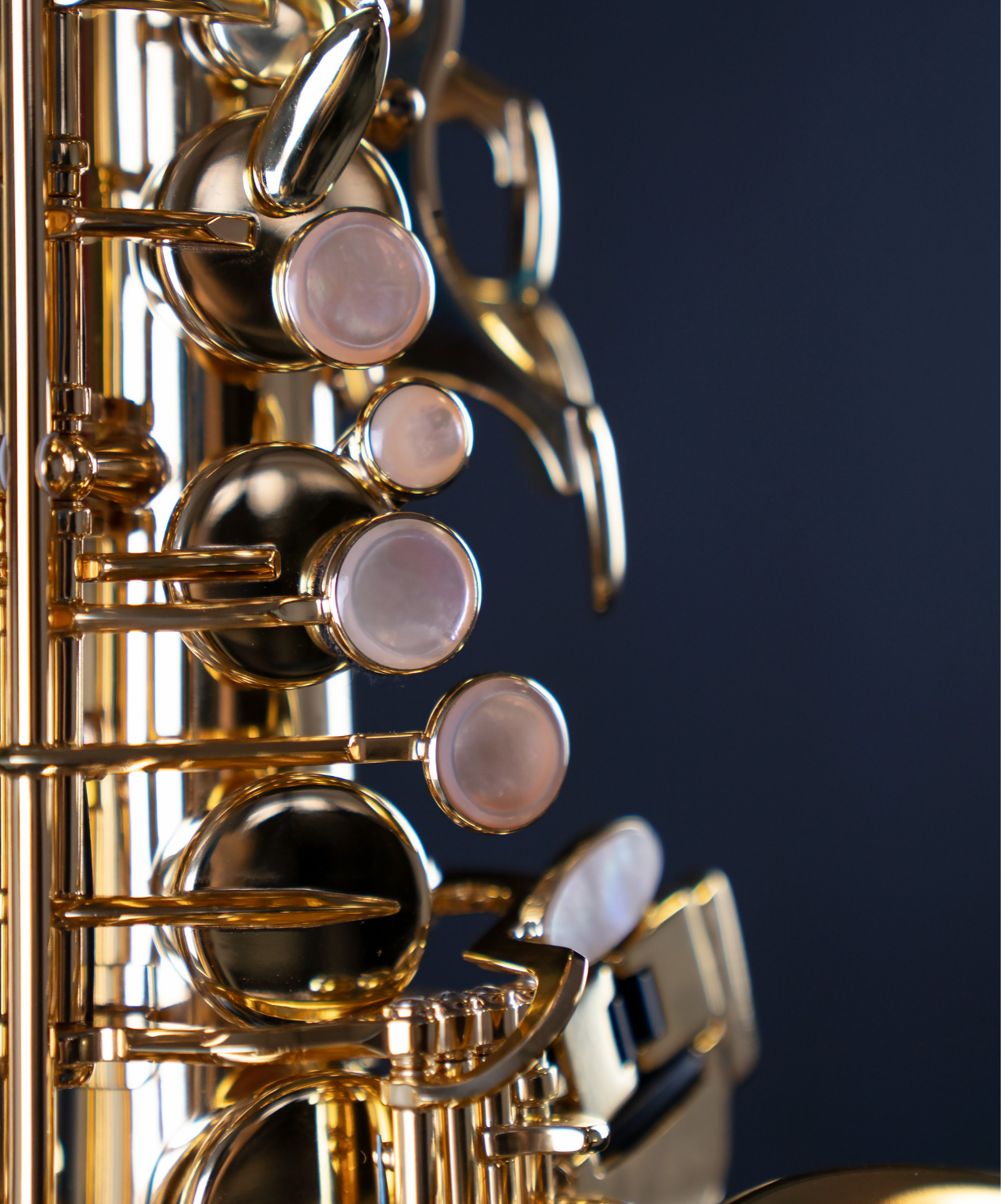 SELMER ALTO SA/80 SERIE II GG - VERNI GOLD GRAV