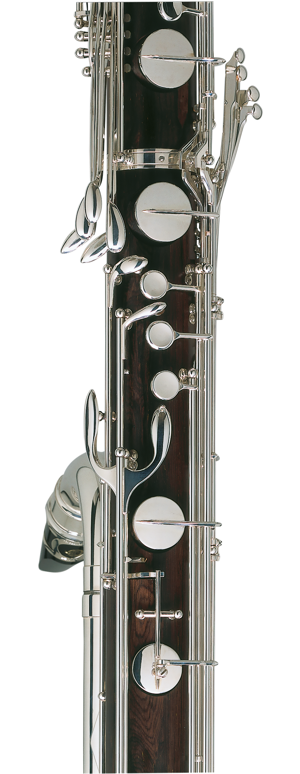 Contrabass