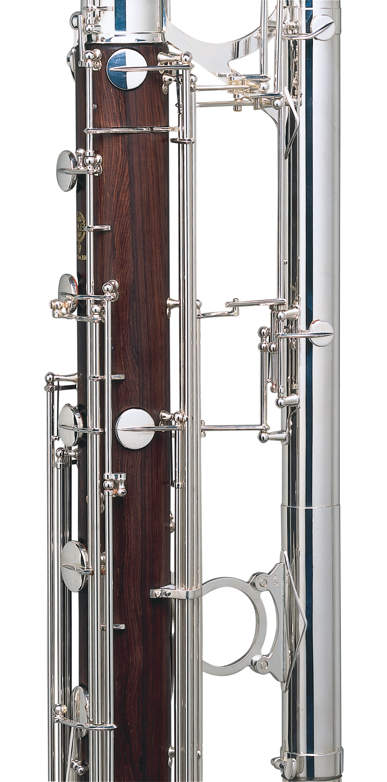 Contrabass