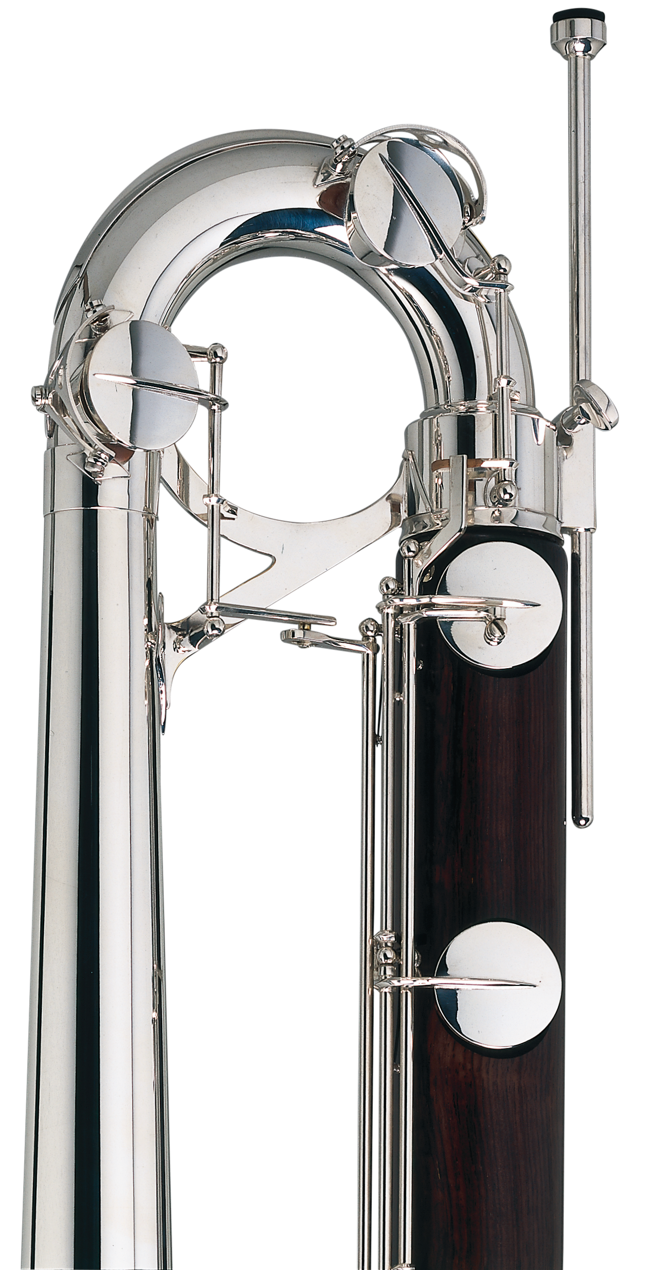 Contrabass