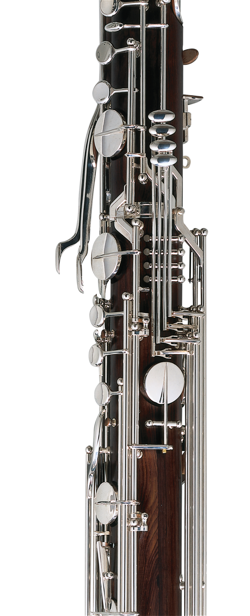 Contrabass