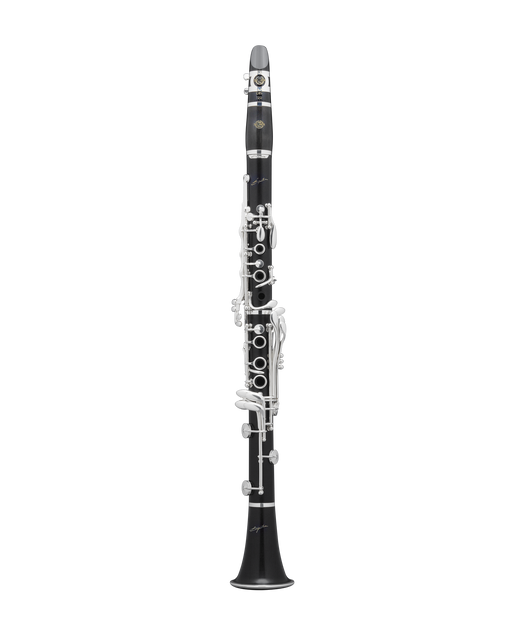 Henri SELMER Paris - Privilège Bb/A clarinets Henri SELMER Paris - Privilège Bb/A clarinets