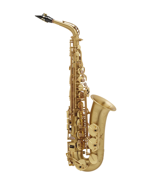 Kit d'entretien Lechgold pour saxophone alto et ténor